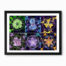 Fibonacci Spiral Fractal Flowers Poster