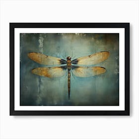 Dragonfly 13 Art Print