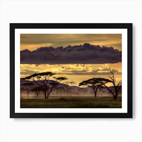 Good Evening Tanazania Art Print