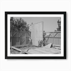 Barn Erection, Raising Interior Panels Into Place On Top Of Girder, Southeast Missouri Farms Project By Russell Lee Art Print