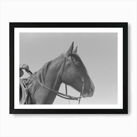 Horse S Head, Notice Cowboy Gloves, Cattle Ranch Near Spur, Texas By Russell Lee Art Print