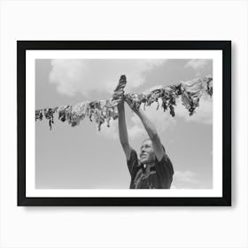 Spanish American Woman Hanging Up Meat To Dry, Chamisal, New Mexico By Russell Lee Art Print