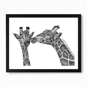 Giraffes In Love Art Print