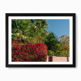 Palm Springs Pink Art Print