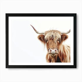 Highland Cow 5 Art Print