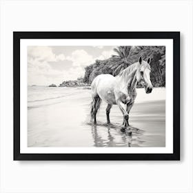 A Horse Oil Painting In Anse Cocos, Seychelles, Landscape 1 Art Print
