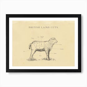British Lamb Butcher Cuts Chart Art Print