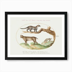 Civet, Lynx, And Hyena (1575–1580), Joris Hoefnagel Art Print