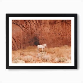 White Desert Horse Art Print