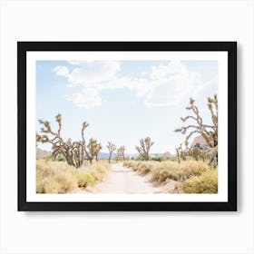 Desert Trees Art Print