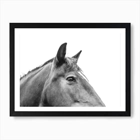 Horse's Head 1 Art Print