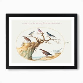 Six Small Birds, Including A Bluethroat And A Cuckoo (1575–1580), Joris Hoefnagel Art Print