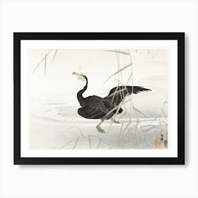 Japanese Cormorant Catching Fish (1900 1910), Ohara Koson Art Print