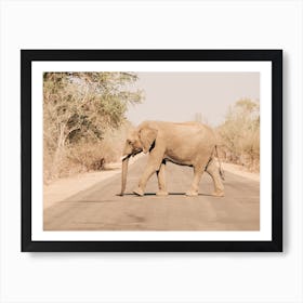 Elephant On The Road In Kruger National Park Art Print