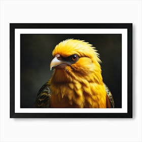 Yellow eagle Art Print