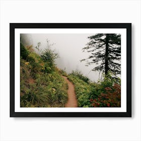 Misty Forest Path Art Print