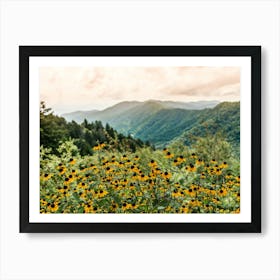 Wildflower Adventure - Smoky Mountain National Park Art Print