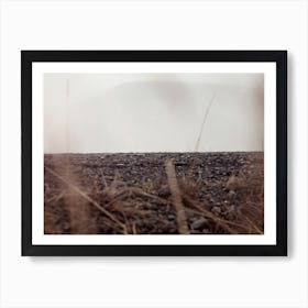 Hiding Ground Art Print