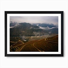 Douro Vineyards, Portugal Art Print