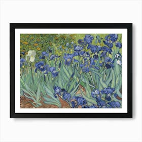 Irises, By Vincent Van Gogh, 1889, Dutch Post Impressionist Painting, Oil On Canvas Art Print