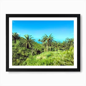 Palm Trees On Santa Cruz De Tenerife, Canary Islands (Spain Series) Art Print