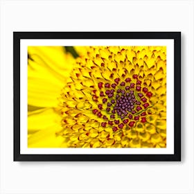 Yellow Daisy Art Print