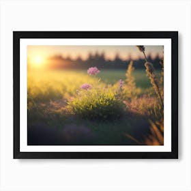 Meadow Glowing In The Evening Sun Art Print