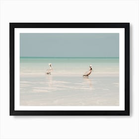 Birds At The Beach In Mexico Art Print