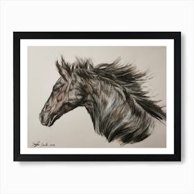 Black Horse Art Print