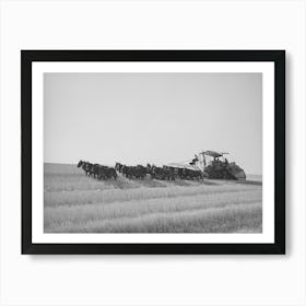 Twenty Mule Drawn Combine In The Wheat Fields Of Walla Walla County, Washington By Russell Lee Art Print