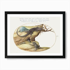 Lizards, Toad Or Frog And Caterpillar (1575–1580), Joris Hoefnagel Art Print