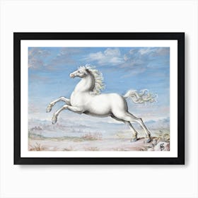 White Horse, Joris Hoefnagel Art Print