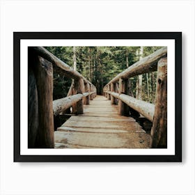 Trail Bridge Art Print