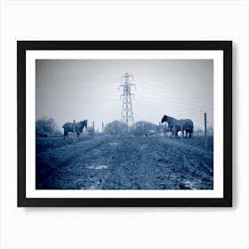 Horses In A Field Art Print