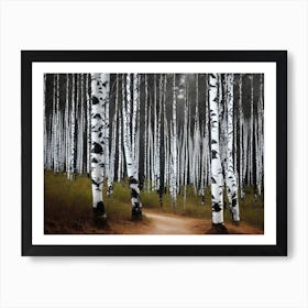 Birch Forest 124 Art Print