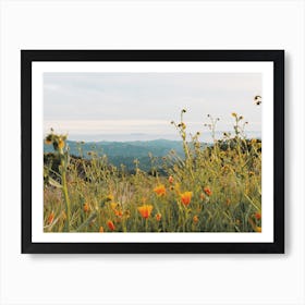 Poppy Flower Field Art Print