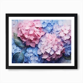 Hydrangeas 26 Art Print