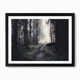 Finding Heaven - Olympic National Park Forest Art Print