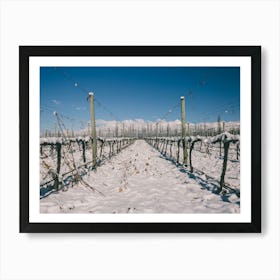 Unitltled 24 - Snow in the Vineyard Series Art Print