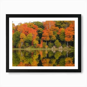 Autumn Trees Reflected In A Lake 1 Art Print