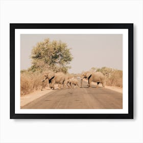 Elephants On The Road In Krugerpark In South Africa Art Print