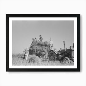 Untitled Photo, Possibly Related To Harvesting Rice, Crowley, Louisiana By Russell Lee Art Print