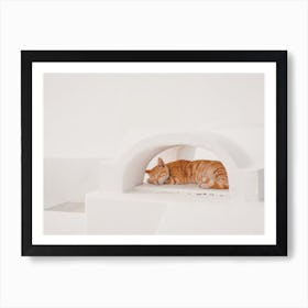 Sleeping Cat Affiche