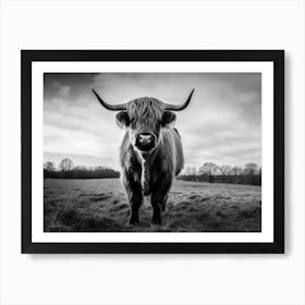 Highland Cow 1 Art Print