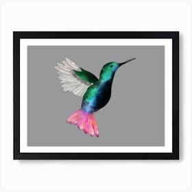 Hummingbird Art Print Art Print