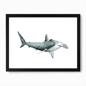 Sea Life Hammerhead Shark Art Print