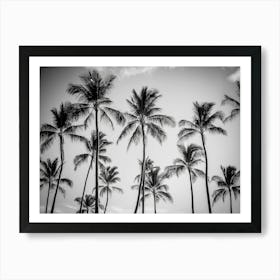 Black And White Palm Trees 1 Art Print