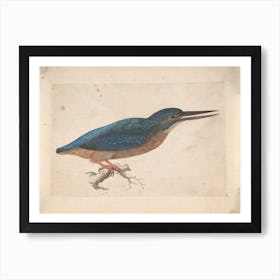 Kingfisher Vintage Painting Art Print