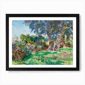Olive Trees, Corfu, John Singer Sargent Art Print