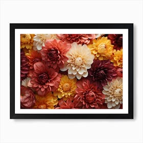 Dahlias 14 Art Print